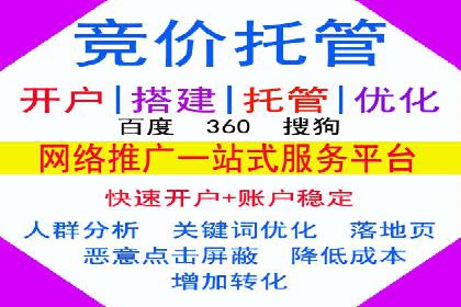 行业领先企业的SEM广告投放策略案例